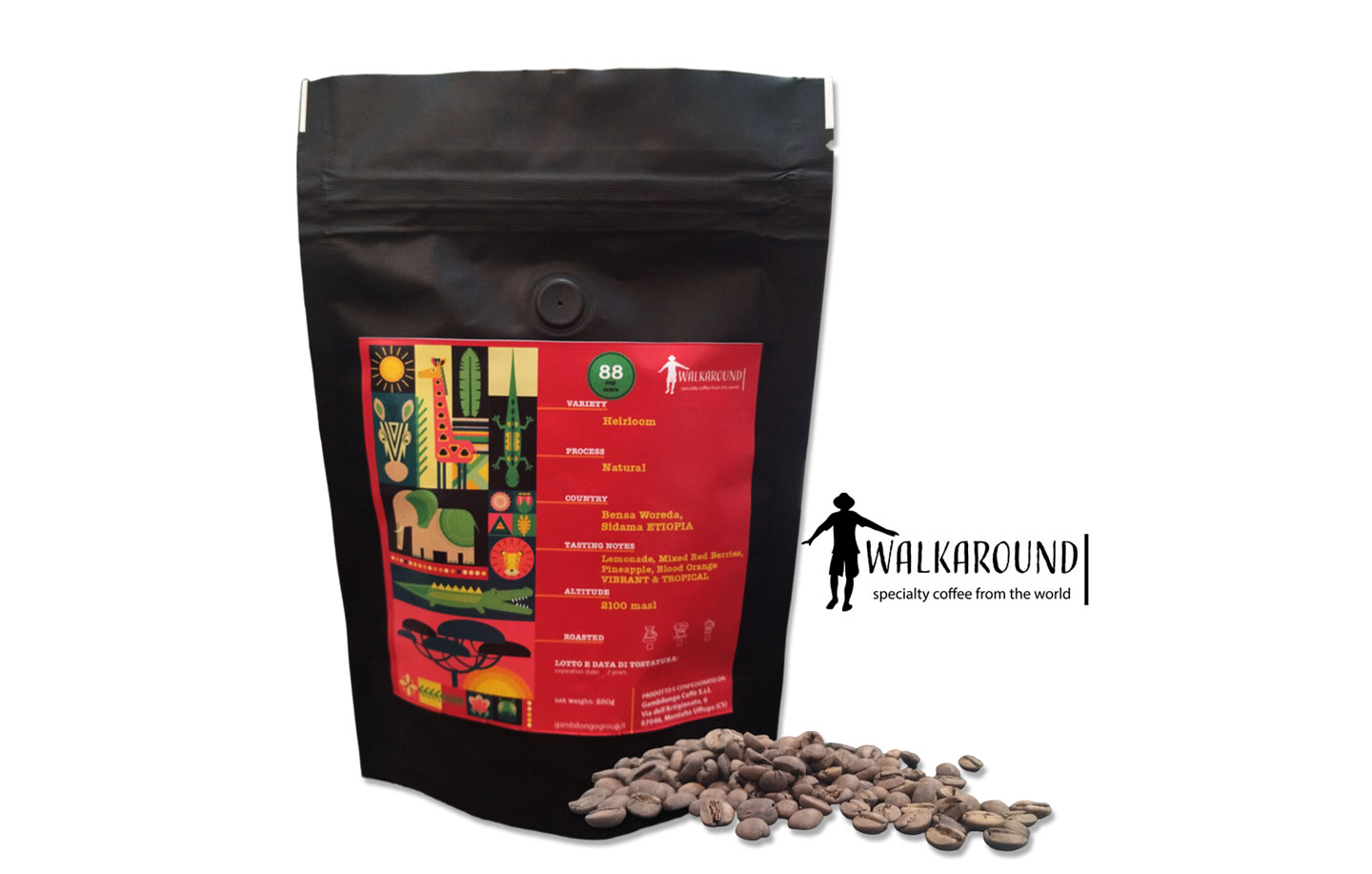 Walkaround, lo Specialty Coffee Gambilongo: Un Viaggio Esclusivo nel Mondo dello Specialty Coffee